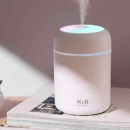 H2O Humidifier